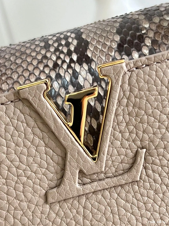 First bag ru VUITTON CAPUCINES MINI LOUIS 0802